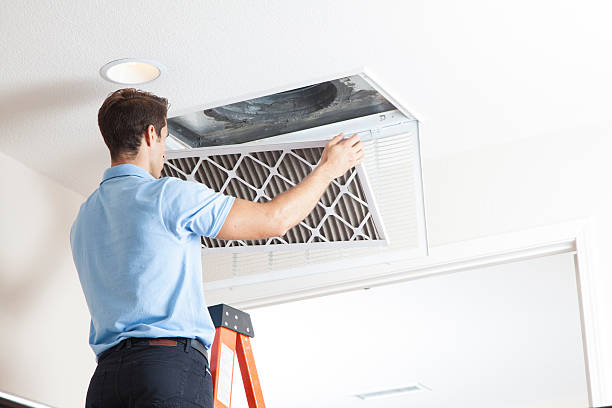 Best Air Filters and Purifiers in June Park, FL